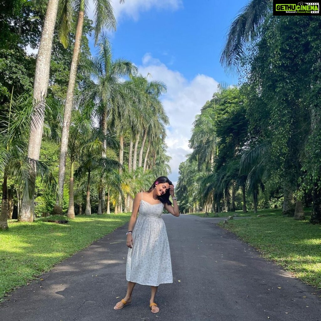 Mahima Nambiar Instagram - Srilanka ❤️ #beautiful #greenery #gentle #srilankatravel #srilanka Kandy,Sri Lanka ''දළදා මාලිගාවේ සිට''