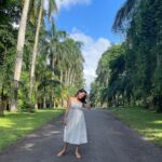 Mahima Nambiar Instagram - Srilanka ❤️ #beautiful #greenery #gentle #srilankatravel #srilanka Kandy,Sri Lanka ''දළදා මාලිගාවේ සිට''