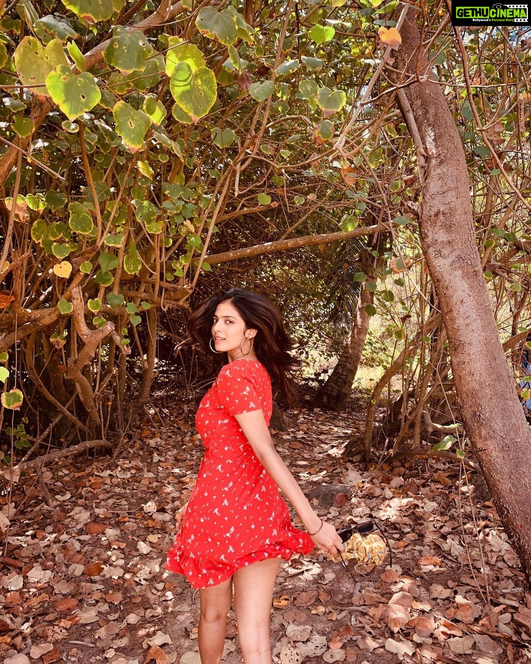 Malavika Mohanan Instagram - Sunshine in my hair❣️