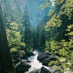 Malavika Mohanan Instagram - Spent an entire day doing the #MistTrail hike in Yosemite National Park🏞, this gorgeous trail is scattered with breathtaking waterfalls, stunning view points, big old beautiful trees, cute squirrels 🐿, and the gorgeous rainbow I got to see was the cherry on top 🌈 Mist Trail, Yosemite National Park