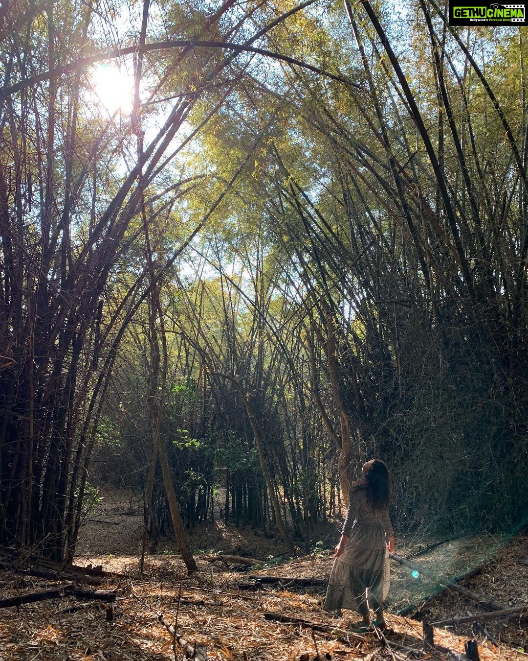 Malavika Mohanan Instagram - Forest lover 🍃♥️ Masinigudi, Tamil Nadu, India