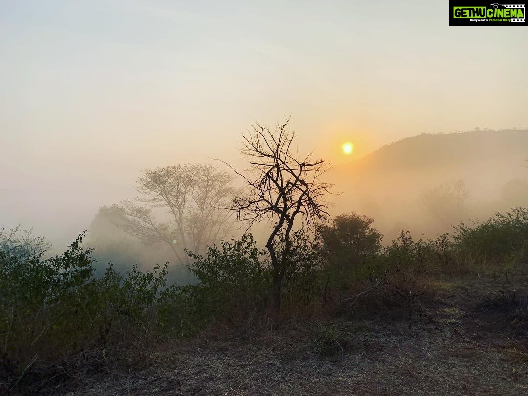 Malavika Mohanan Instagram - Bandipur 💔 . . Such a devastating loss of forest land and forest life.