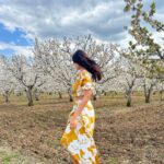Malavika Mohanan Instagram – Saw a beautiful farm of almond trees in full bloom & ran around gushing over how pretty the flowers were 🥰 🌸 

@thejodilife I always feel so happy in yours designs! Homegrown brands for the win always 🤍