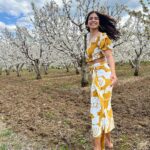 Malavika Mohanan Instagram – Saw a beautiful farm of almond trees in full bloom & ran around gushing over how pretty the flowers were 🥰 🌸 

@thejodilife I always feel so happy in yours designs! Homegrown brands for the win always 🤍