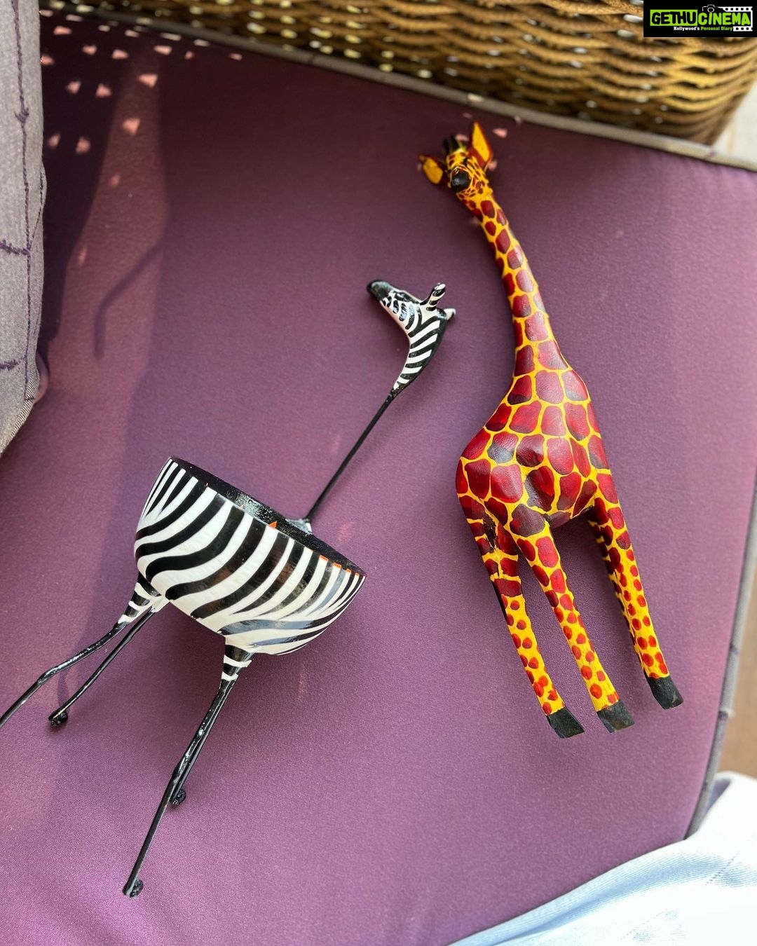 Malavika Mohanan Instagram - When mommy knows I like wildlife so these are the kind of gifts I get when sheβs back from her holidays!π¬π¦π¦ #MyMommyStillGetsMeToys β₯οΈπ