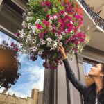 Malavika Mohanan Instagram - PC: @ripanshijain Windosr Castle