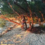 Malavika Mohanan Instagram - #miami #throwback photo by @ripanshijain