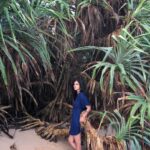 Malavika Mohanan Instagram –