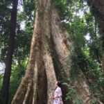 Malavika Mohanan Instagram –  Kottiyoor Temple