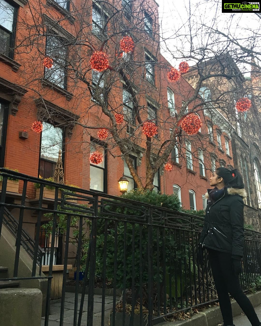 Malavika Mohanan Instagram - Photo by @ripanshijain Brooklyn, New York