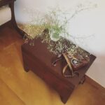 Malavika Mohanan Instagram – A family heirloom. My grandmother’s antique chest.