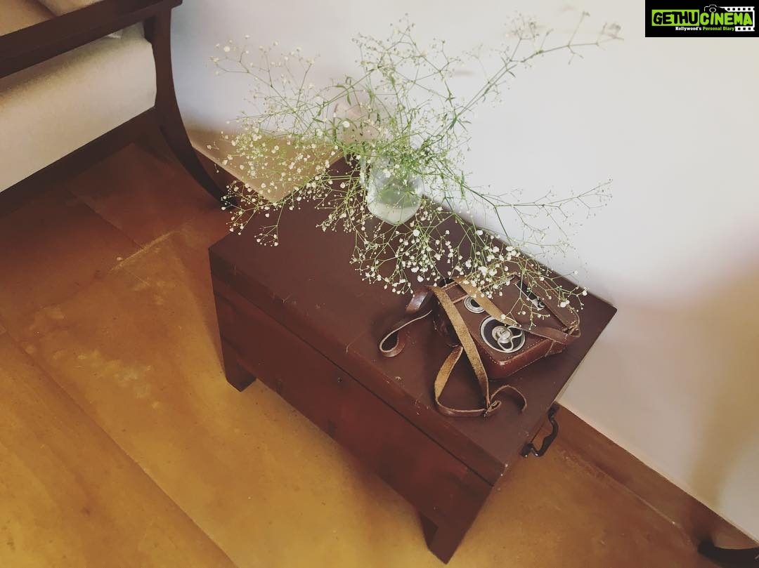 Malavika Mohanan Instagram - A family heirloom. My grandmother's antique chest.
