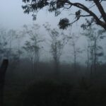 Malavika Mohanan Instagram –  Vagamon Hills