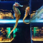 Malavika Mohanan Instagram –  Sea Life Bangkok Ocean World