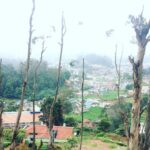 Malavika Mohanan Instagram – Waking up to this view
#ooty