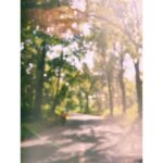 Malavika Mohanan Instagram – #wayanad