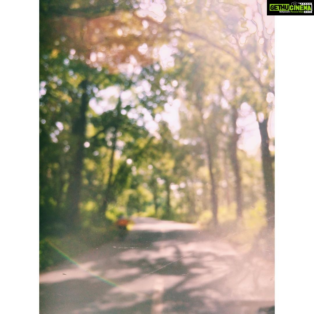 Malavika Mohanan Instagram - #wayanad