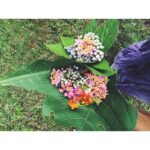 Malavika Mohanan Instagram – Forest bouquet 🌸