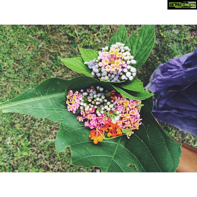 Malavika Mohanan Instagram - Forest bouquet 🌸