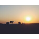 Malavika Mohanan Instagram - Jaisalmer