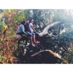 Malavika Mohanan Instagram –