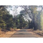 Malavika Mohanan Instagram –