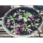 Malavika Mohanan Instagram -