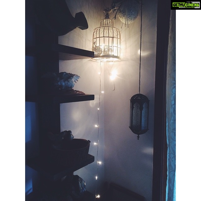 Malavika Mohanan Instagram - Adorning the living room corner