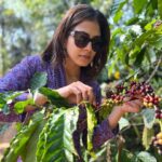 Malavika Mohanan Instagram – What better coffee to have than the one you get at the heart of a coffee estate ☕️ 🤍

@peppertrail your estate is full of my favourites- nature, morning mists, most beautiful trails, natural water bodies & the best coffee ☺️

📸 by a very amused @adityamohanan who was sniggering while taking every photo. Younger brothers I tell you 🙄 Pepper Trail