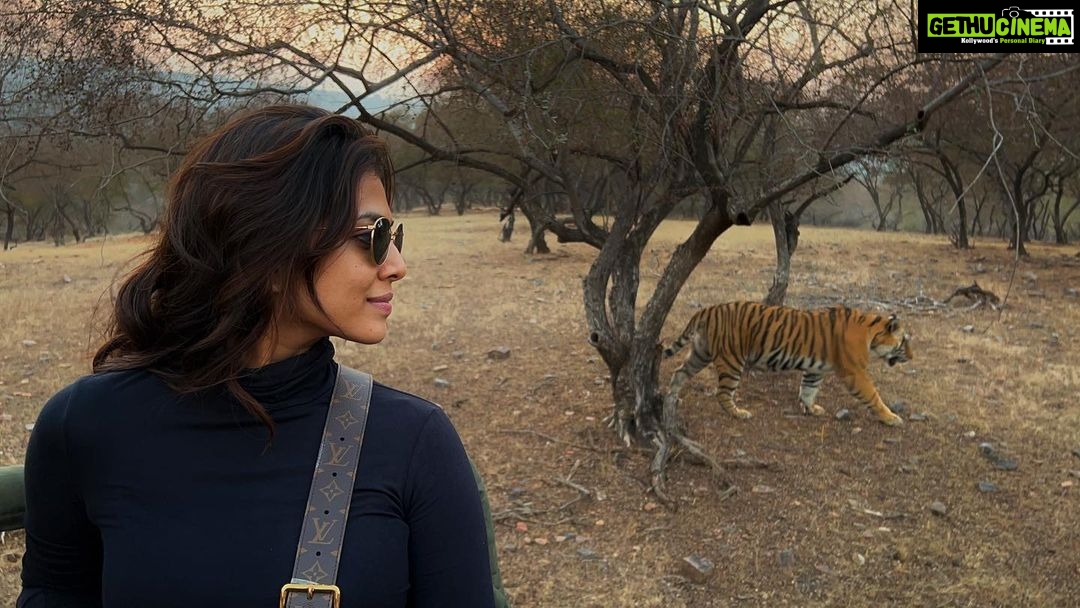 Malavika Mohanan Instagram - When in Ranthambore 🐅♥️ Ranthambhore National Park