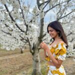 Malavika Mohanan Instagram – Saw a beautiful farm of almond trees in full bloom & ran around gushing over how pretty the flowers were 🥰 🌸 

@thejodilife I always feel so happy in yours designs! Homegrown brands for the win always 🤍