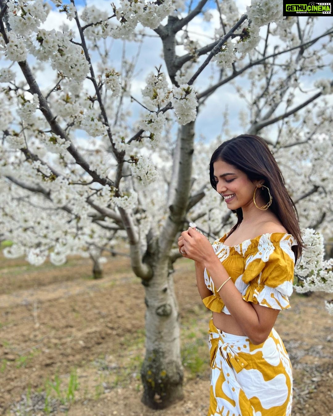 Malavika Mohanan Instagram - Saw a beautiful farm of almond trees in full bloom & ran around gushing over how pretty the flowers were 🥰 🌸 @thejodilife I always feel so happy in yours designs! Homegrown brands for the win always 🤍