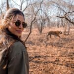 Malavika Mohanan Instagram - The best way to start a morning! 🐅😭♥️ Ranthambore