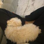 Malavika Mohanan Instagram – @nittigoenka has a new fluffball 🥺 
Hello world, meet Zuma 🐶♥️