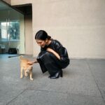 Malavika Mohanan Instagram - This cute kitty lives in my building and starts meowing loudly if you’re around her and don’t give her attention, and stops making noises only once you pat her and play with her 🐈 🐱 Are you a dog person or a cat person? I generally like dogs more but this kitty is so adorable ☺️