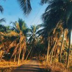 Malavika Mohanan Instagram - How I’ve missed feeling this breeze on my face ♥️ My favourite beach in my hometown in Kerala. Visiting after 2 long years 🌴🏝 🐚