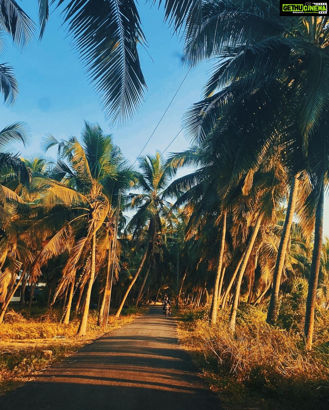 Malavika Mohanan Instagram - How I’ve missed feeling this breeze on my face ♥️ My favourite beach in my hometown in Kerala. Visiting after 2 long years 🌴🏝 🐚