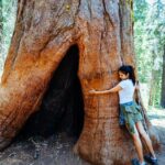 Malavika Mohanan Instagram - If there’s a tree, you’ll find me hugging it 🌳 #HappyEarthDay ♥️