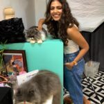Malavika Mohanan Instagram - Furry babies 🐱 @devsphotographyofficial has the cutest cats! 💛 And he has 6 of them! 😯