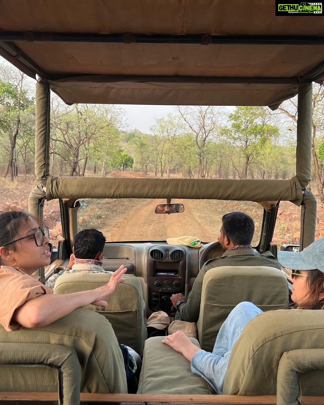 Malavika Mohanan Instagram - I have always wanted to visit Tadoba Tiger Reserve for years since I heard that some of the best tiger sightings in india happen here and I’m finally here with my favourite girls! 👯♀️👯♀️ We saw 2 tigers and 1 leopard on our first safari itself and are now aiming high and hoping to see the melanistic leopard next 😬 A big shout out to Annie for hosting us at her gorgeous place @the_bamboo_forest ! And a big thank you to your amazingly talented naturalist-Akshay whose expertise has shown us 4 big cats in just 2 days & hopefully a lot more in the coming couple of days! 🐯♥️