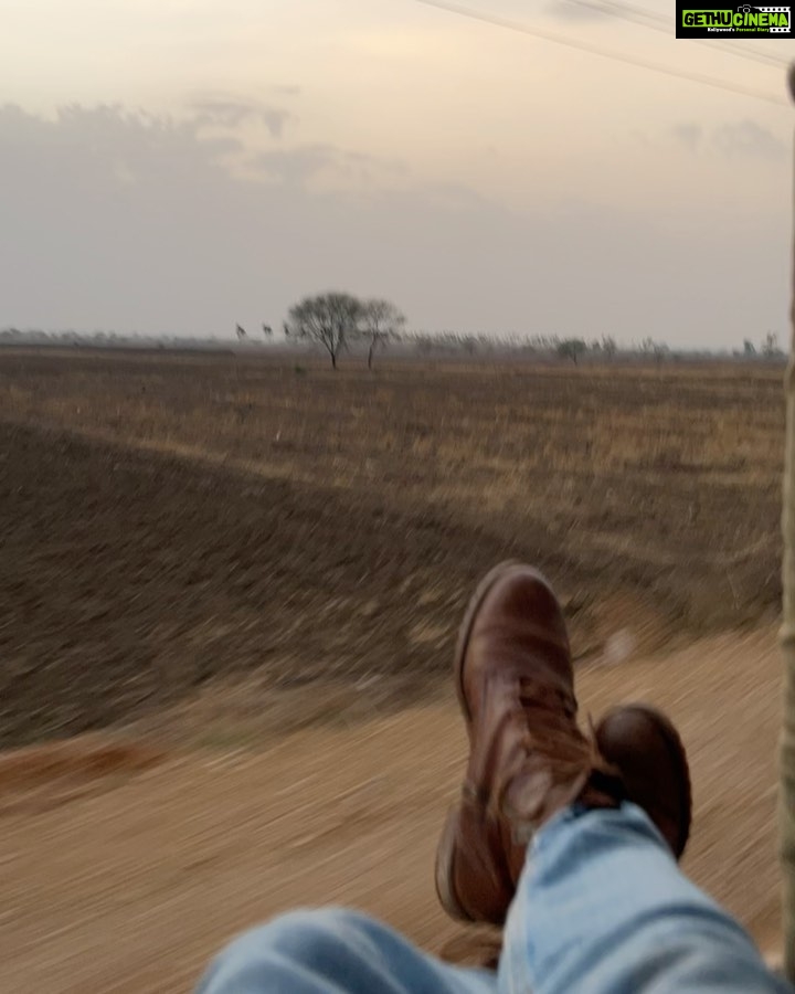 Malavika Mohanan Instagram - I have always wanted to visit Tadoba Tiger Reserve for years since I heard that some of the best tiger sightings in india happen here and I’m finally here with my favourite girls! 👯♀️👯♀️ We saw 2 tigers and 1 leopard on our first safari itself and are now aiming high and hoping to see the melanistic leopard next 😬 A big shout out to Annie for hosting us at her gorgeous place @the_bamboo_forest ! And a big thank you to your amazingly talented naturalist-Akshay whose expertise has shown us 4 big cats in just 2 days & hopefully a lot more in the coming couple of days! 🐯♥️