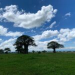 Malavika Mohanan Instagram – Good morning from a continent I’ve waited to visit my entire life! Hello Africa 🇹🇿 #tanzania