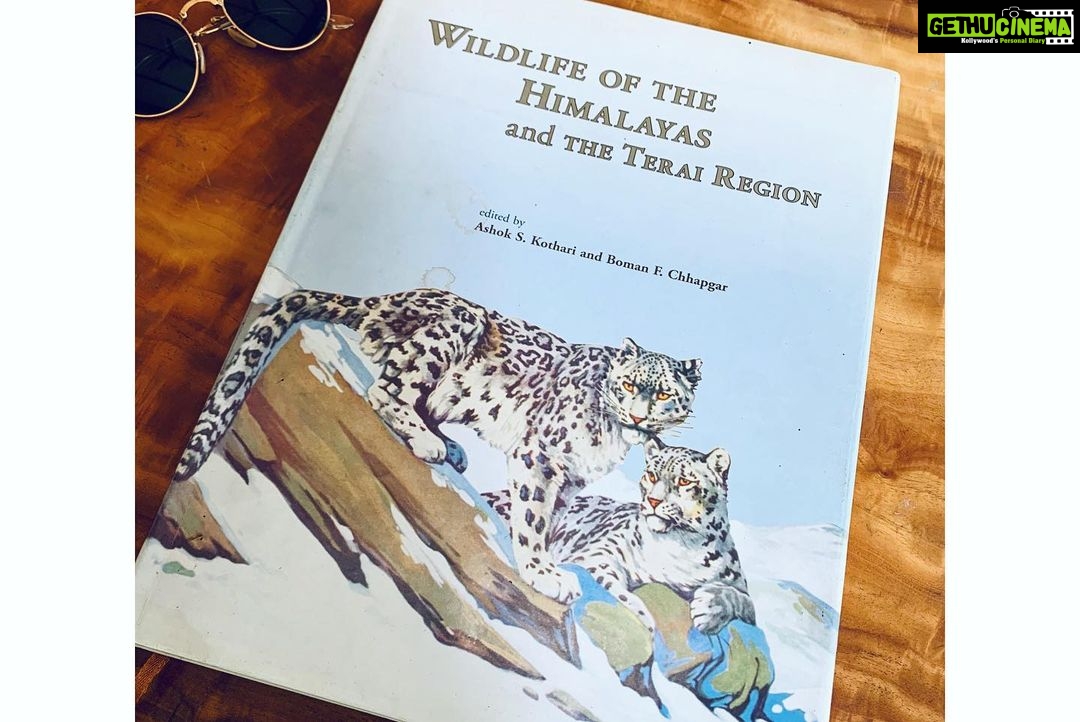 Malavika Mohanan Instagram - If itโs got a big cat on it, itโs got my attention ๐ค๐พ ๐
#wildlifelover #bigcatlady