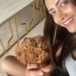 Mamta Mohandas Instagram – GUCCIGANG

Reunion after 2 months of being apart..
And boy did we miss each other! 
💃🏻💞🐕 

#reunion #withmyboy #guccigang #gucci #toypoodle #twinning #doglover #pet #bestfriends #home #dance #priceless