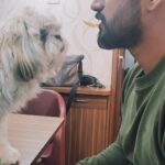 Milana Nagaraj Instagram – Do romantic heroes have to romance  in everything they do? 🤪🤪

P.s We dont feed him chips.
But he always eyes on it when we eat!