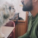 Milana Nagaraj Instagram – Do romantic heroes have to romance in everything they do? 🤪🤪
P.s We dont feed him chips.
But he always eyes on it when we eat!