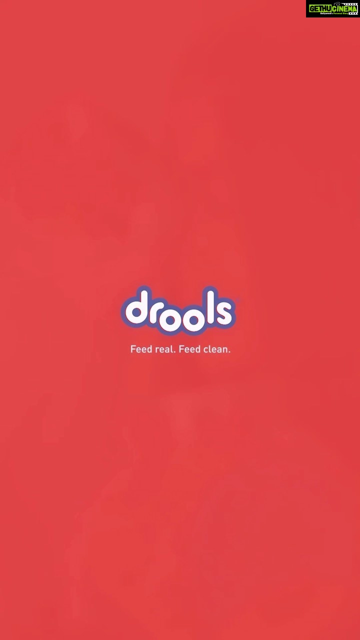 Mrunal Thakur Instagram - Give your cat the tastiest, crunchiest treat there is, with the @Droolsindia Cat Biscuits. Oven baked with 100% real chicken and no by products or artificial flavours, these are the perfect treats to get them lip smacking and whisker twitching! Get ready to hear a loud crunch in every bite! @billoboythakur 🤤❤️ #Droolsindia #Feedrealfeedclean #Catbiscuits #catnutrition #petnutrition #healthypets