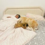 Navya Nair Instagram - Tysu babe coco babe .. #unconditionallove #missingyou