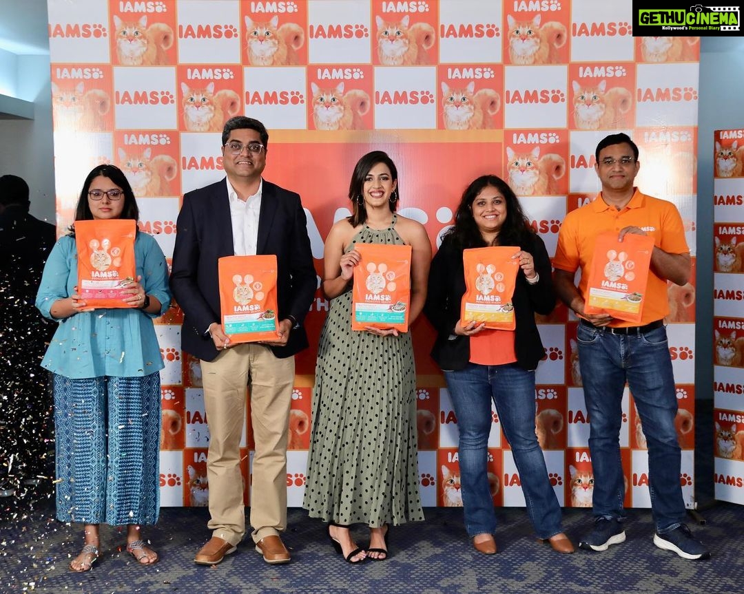 Niharika Konidela Instagram - Building on their purpose of making A Better World for Pets, IAMS India yesterday launched its Premium Catfood range in Hyderabad. It was honor for me to be a part of this special event! The IAMS cat food is developed in association with veterinarians and is tailor-made to fulfill the nutritional requirements for both – kittens and adult cats, including new mothers. These new variants help in developing a healthy natural defense with the ingredients scientifically proven to help increase the level of Vitamin E in your cat. Buy Now and See The WOW @iams_india #IAMS #IAMSWhoIAm #TailoredNutrition #UniqueBest #CatFood #NewLaunch #LaunchAlert #CatHealth #Cat #Cats #Kitty #CatLife #HealthyCat #Catstagram #CatsOfInstagram #CatLove #CatCare #CatFriend