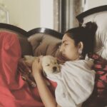 Niharika Konidela Instagram – Isn’t this really all we need? 
Pups and sleep! #throwbackthursday